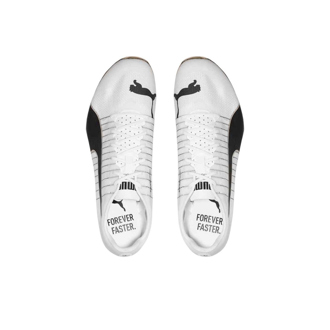 PUMA EvoSPEED 400 Nitro 2 ロートッ - Puma Shoes Rs-X のレビューと価格