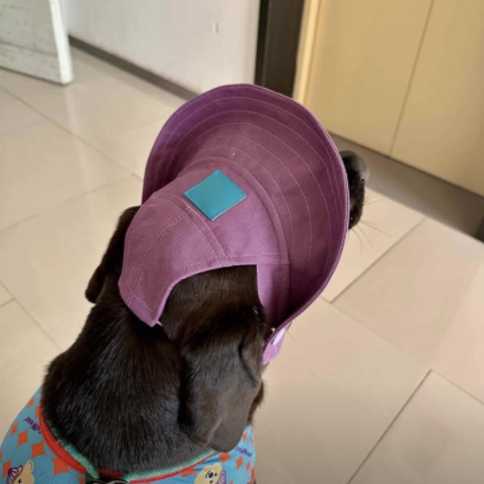 猫用サンハット 通気性のある広いつば UV保護 ヘッドウェア - Sun Hat Wide Brim のレビューと価格